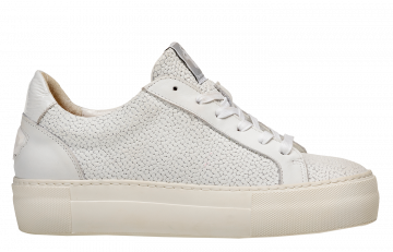 floris van Bommel Vinni 05.41 White Sneaker