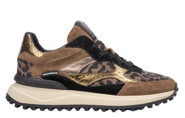 Floris van Bommel Noppi 41.02 Taupe Sneaker