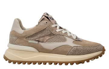 Floris van Bommel Noppi 41.07 Taupe Sneaker