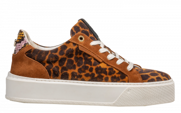 Floris van Bommel Winni 01.10 Cognac Sneaker