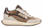 Floris van bommel Suvi 03.04 Taupe Sneaker