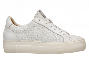 Floris van Bommel Vinni 05.33 White Sneaker