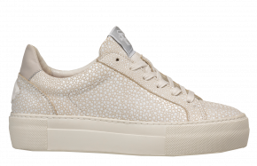 Floris van Bommel Vinni 05.32 DarkWhite Sneaker