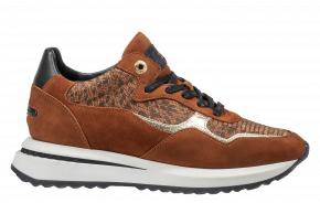 Floris van Bommel Sumi 01.28 cognac Sneaker