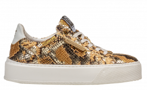 Floris van Bommel Winni 01.09 Gold Sneaker